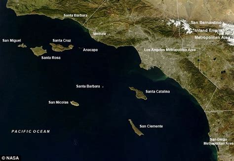 Image result for Axolotl Drawing Tutorial