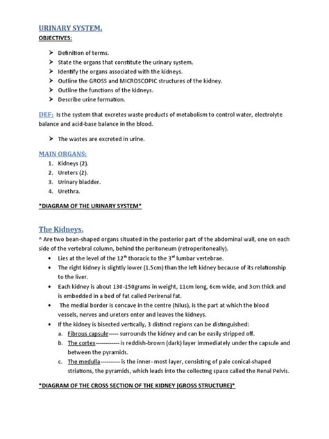 Image result for Urinary System.pdf