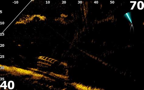 Image result for Using Active Target for Fishing