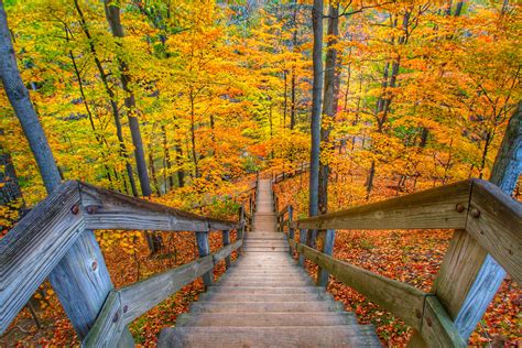 [Earth] Fall in Ohio : r/NoSillySuffix