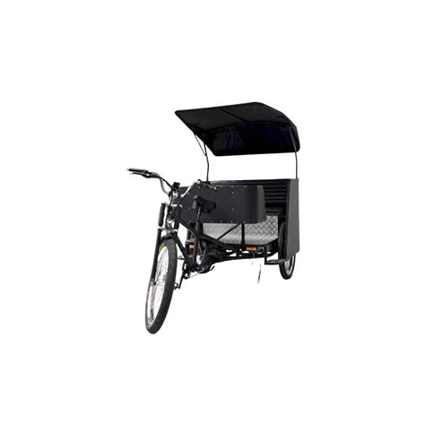 Cozytrikes Electric Pedicab Rickshaw Tricycle for 5 Persons, India | Ubuy