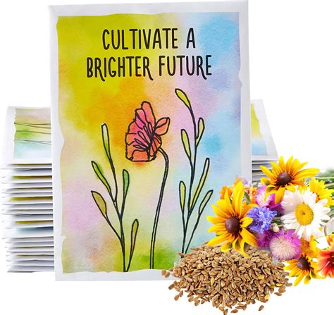 Amazon.com : Set of 500 Assorted Flower Seed Packets! Flower Seeds in ...