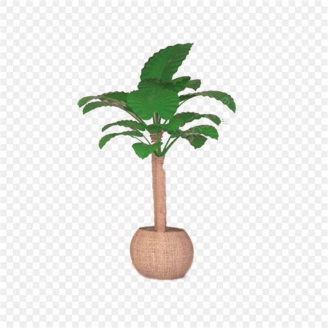 Indoor Potted Plants PNG Picture, Cartoon Pot Indoor Green Plant ...