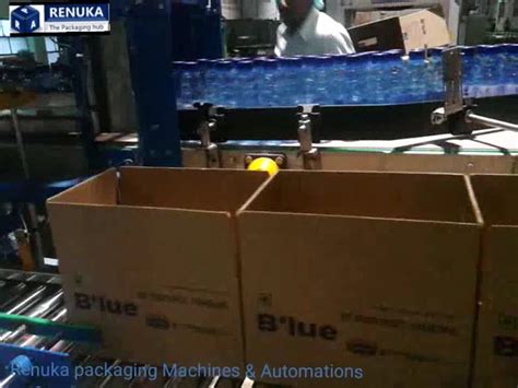 Rezultat imagine pentru Case Packer Types