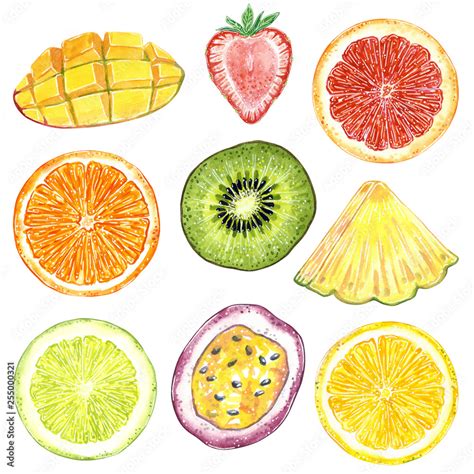 Image result for Fruit Example