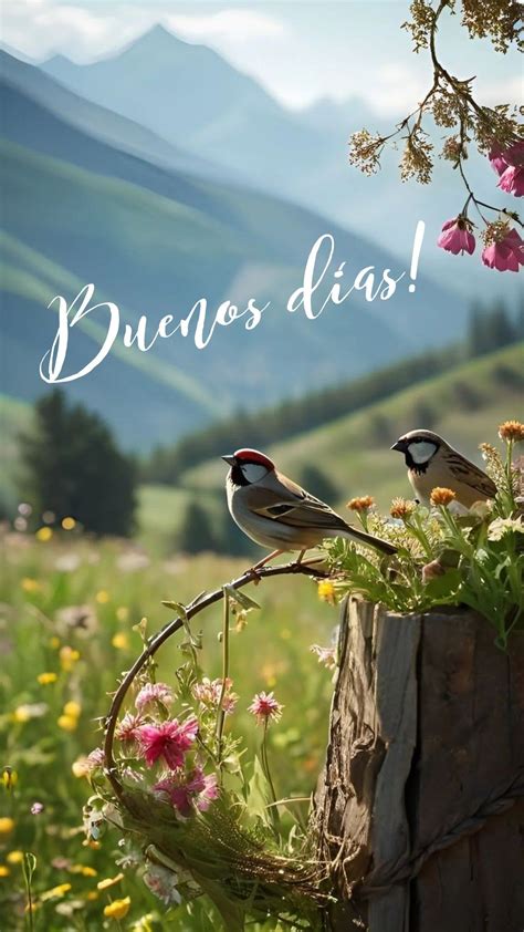 Pin de Silvia Castro Ramirez en La mañana | Buenos dias paisajes, Emoticones de buenos dias ...