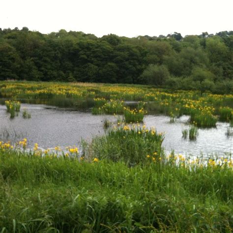 RODLEY NATURE RESERVE (2026) All You Need to Know BEFORE You Go (with ...