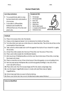 Cheek Cell Experiment Method 的图像结果