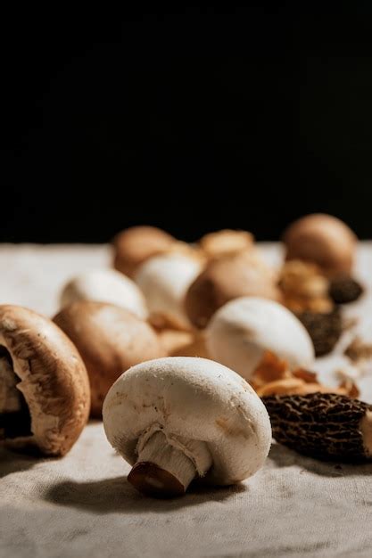 Stock photo of composition of mushrooms and natural ingredients on beig ...
