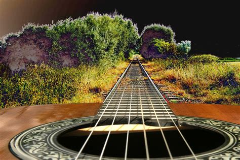 Image result for Free Images of String Instruments