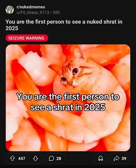 24 Odd And Obscure Sentences Found Online | Know Your Meme