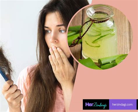 How to Make Aloe Vera Hair Masks at Home For HairFall | how to make ...