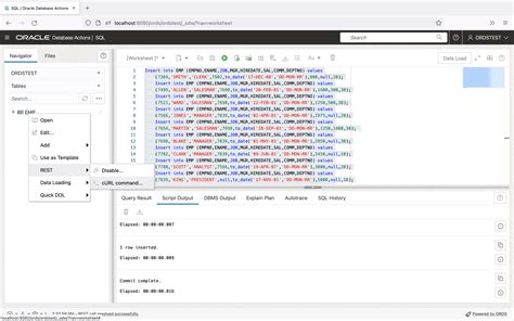 Oracle 12C Restful Tutorial 的图像结果