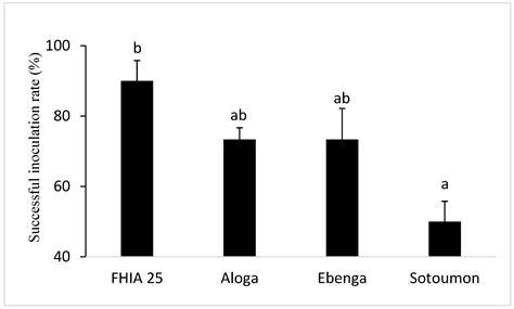 Variation in Symptom Development and Infectivity of Banana Bunchy Top ...