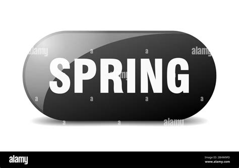 Image result for Java Spring Button