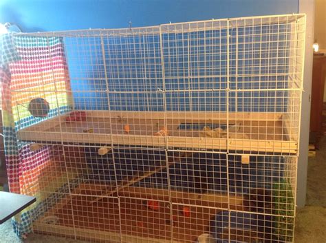 CC Rabbit Cage 的图像结果