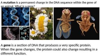 Evolution Environmental Science 的图像结果