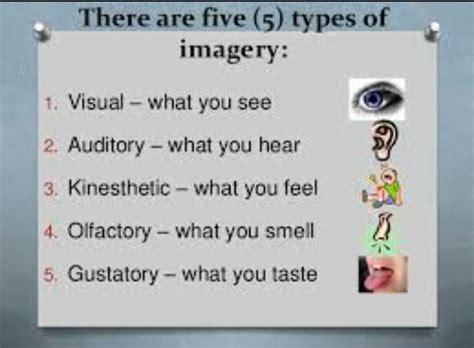 Gustatory cells definition in psychology - Brainly.in