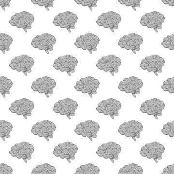 Brain Pattern Vector 的图像结果