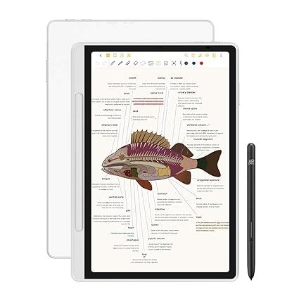 XP-Pen Magic Note Pad 10.95" Digital Note-Taking Tablet, Paper-Like LCD ...