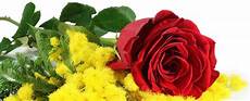 fiori per festa della donna fiori per l 8 marzo festa della donna immagini gif fiori per festa della donna fiori per l 8 marzo festa della donna immagini gif