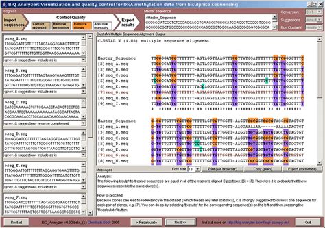 Image result for Biq Example