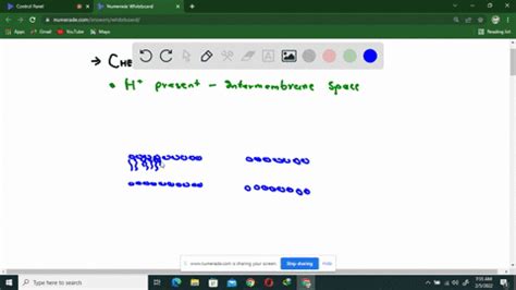 Image result for Proton Gradient