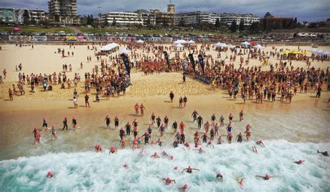 Swim in Sea 的图像结果