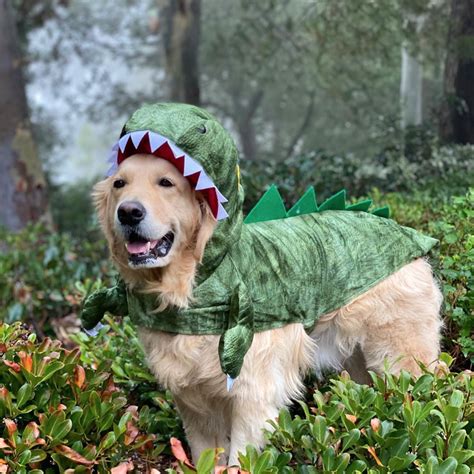 10 Best Halloween Costumes For Large Dogs [PICTURES] | Dog dinosaur ...