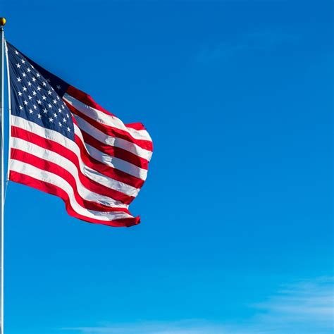 Amrerica National Flag 的图像结果