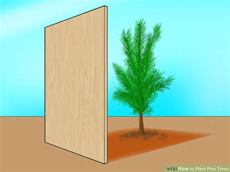 Image result for Tutorial On Creating Pine Trees