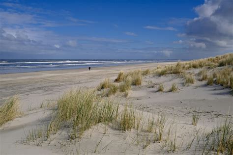 Sand 的图像结果