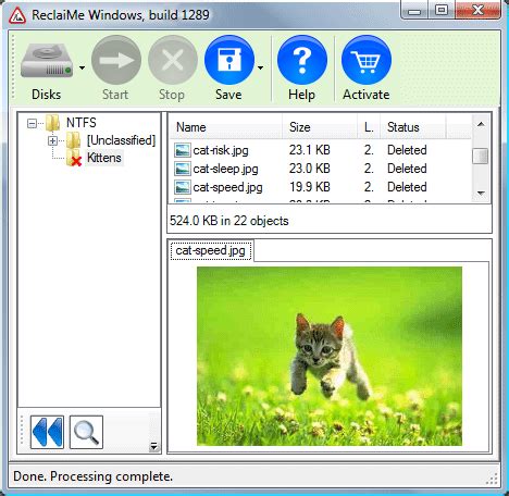 ReclaiMe File Recovery 的图像结果