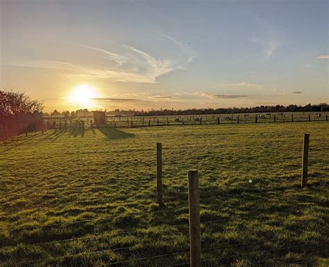 WALNUT TREE FARM PARK (2025) All You Need to Know BEFORE You Go (with ...