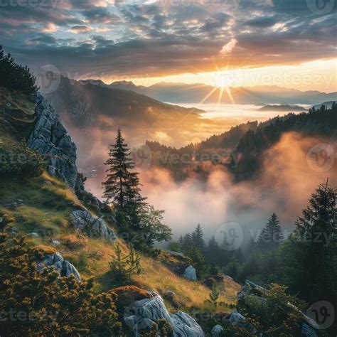 Beautiful Morning View 的图像结果