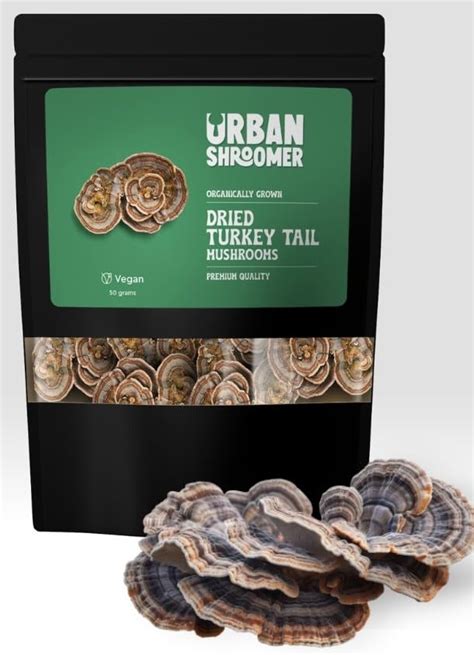 Turkey Tail Mushrooms/ Dried Trametes Versicolor Mushroom, (50 Grams ...