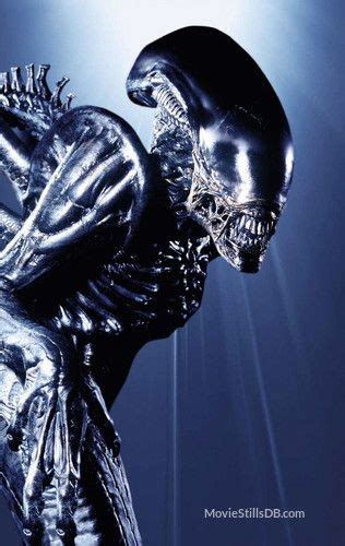 Alien AVP Mahalo 的图像结果