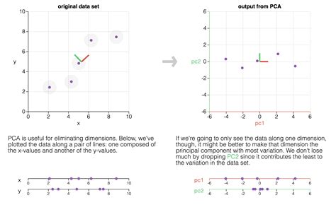 PCA Lecture Notes 的图像结果
