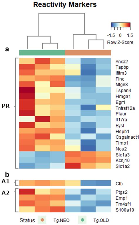 Reactive astrocyte markers in Tg.Old astrocytes. a Markers broadly... | Download Scientific Diagram