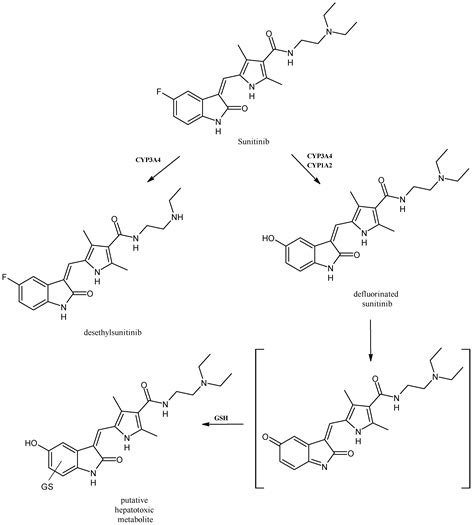 Impact of Cytochrome P450 Enzymes on the Phase I Metabolism of Drugs