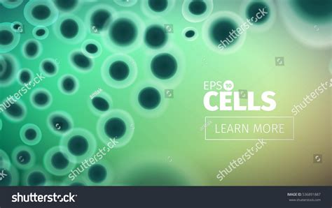 Biology Background 的图像结果