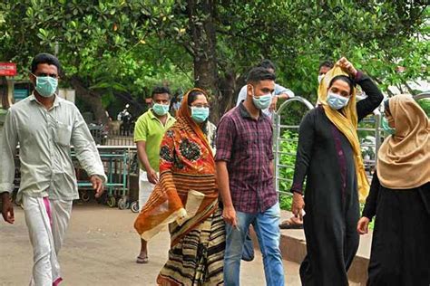 Bats not ruled out as primary source of Nipah outbreak: Health Ministry