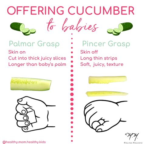 BLW: How to Prepare Cucumber for Babies — Malina Malkani