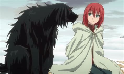 Image result for Ancient Magus Bride Child Grooming