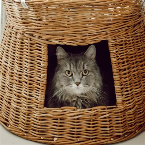 'Muzu' Wicker Cat Basket – DaisyLife
