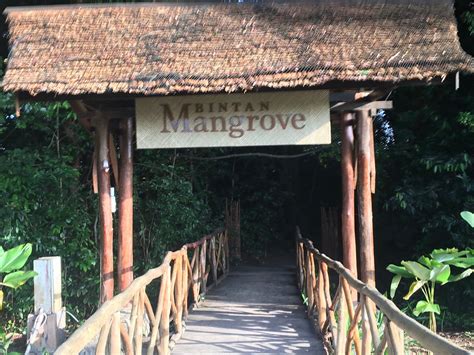 TAXI FOR BINTAN (2025) All You Need to Know BEFORE You Go (with Photos ...