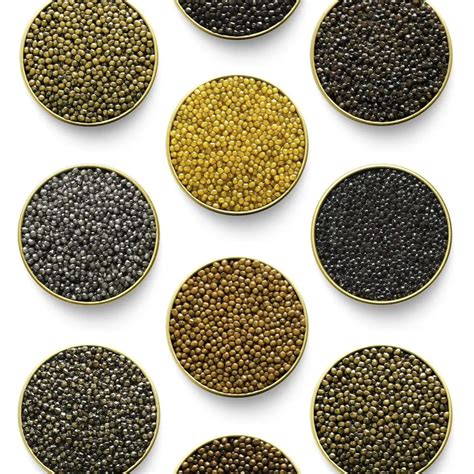 Caviar Beluga | El rey de todos los caviares, comprar y precio