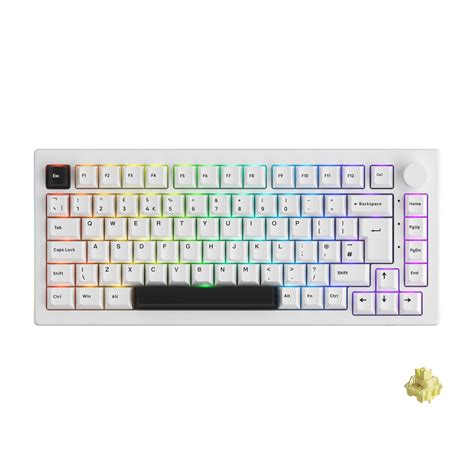 Buy Akko 5075B Plus Gaming Keyboard RGB Chroma with Mechanical Linear ...