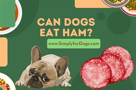 What Happens If A Dog Eats Ham
