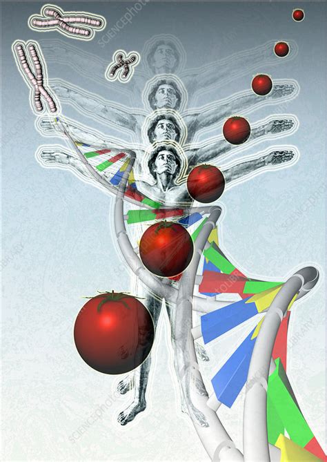 Image result for Define Modification